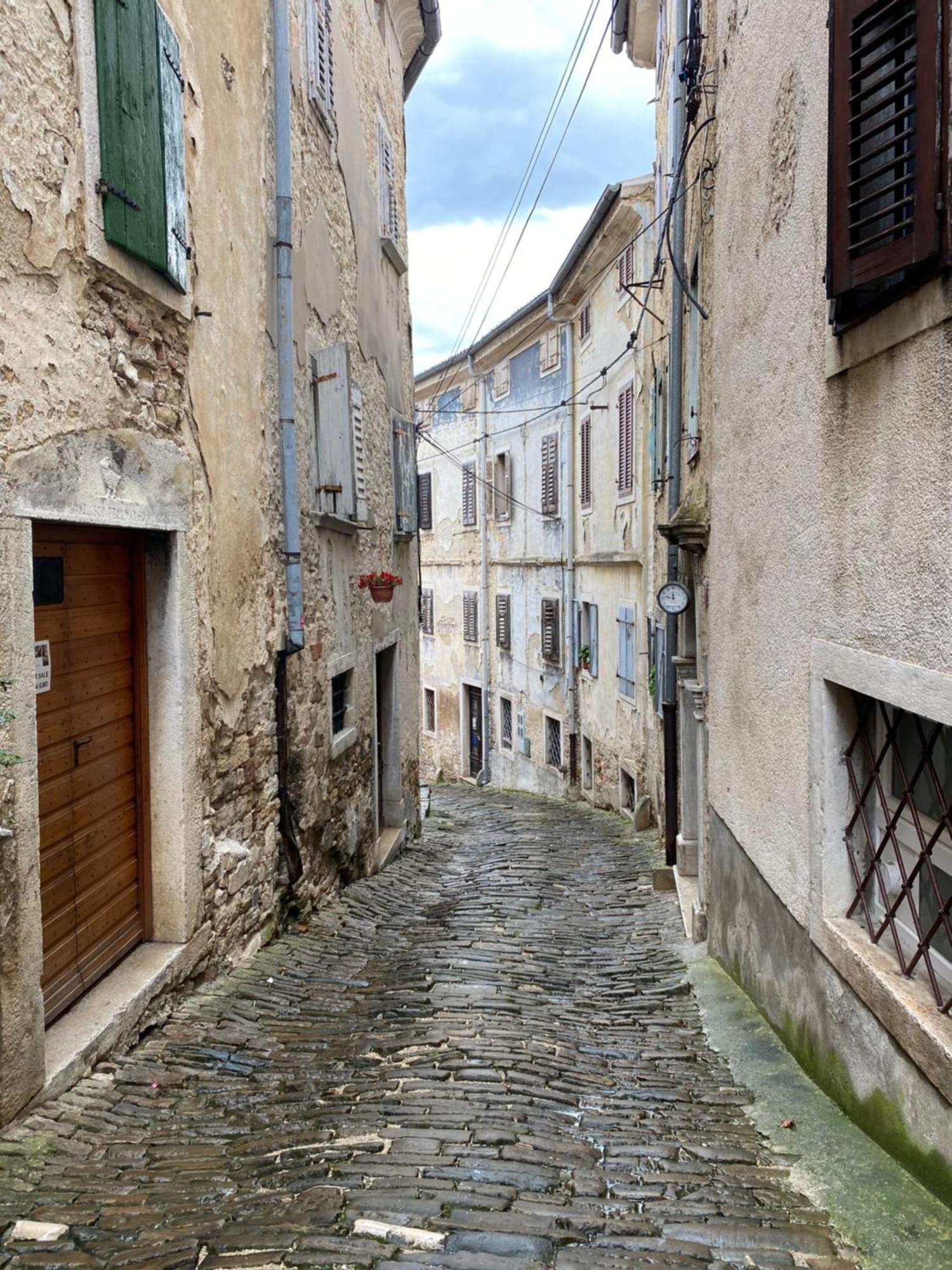 Birdhouse Διαμέρισμα Motovun Εξωτερικό φωτογραφία