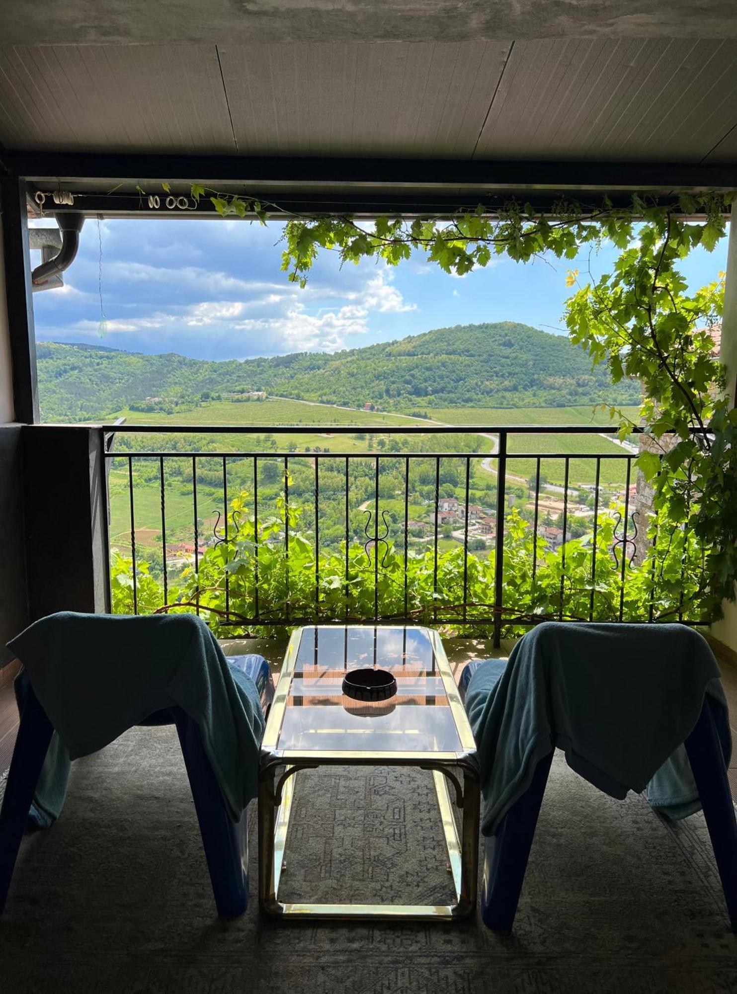 Birdhouse Διαμέρισμα Motovun Εξωτερικό φωτογραφία